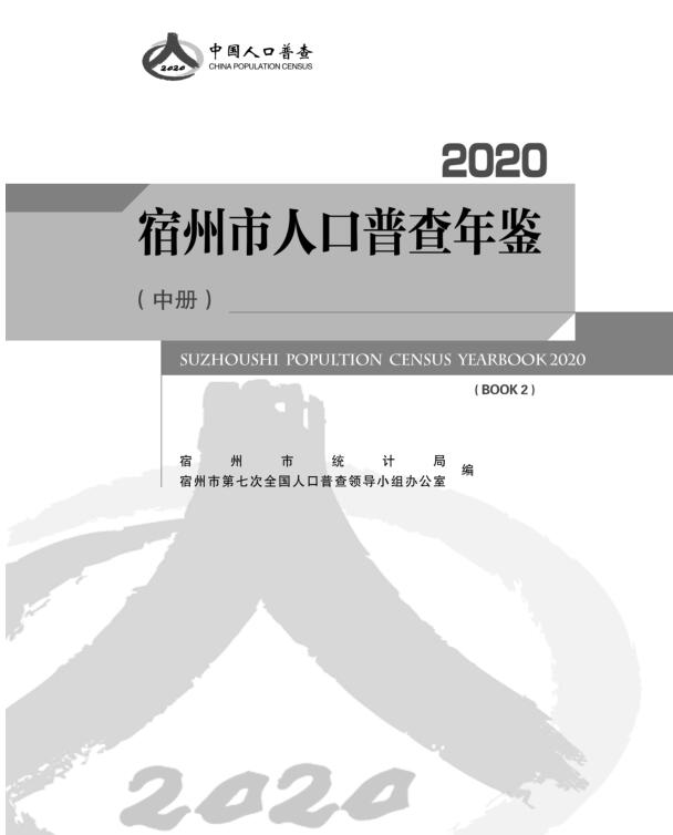 2020年宿州市人口普查年鉴