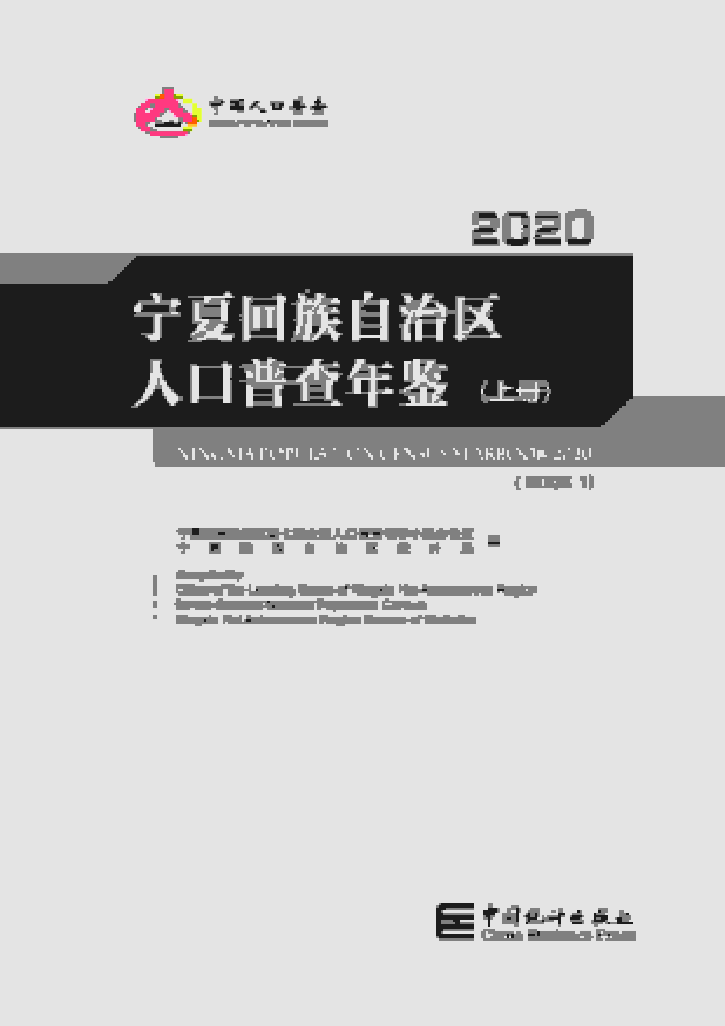 2020年宁夏回族自治区人口普查年鉴