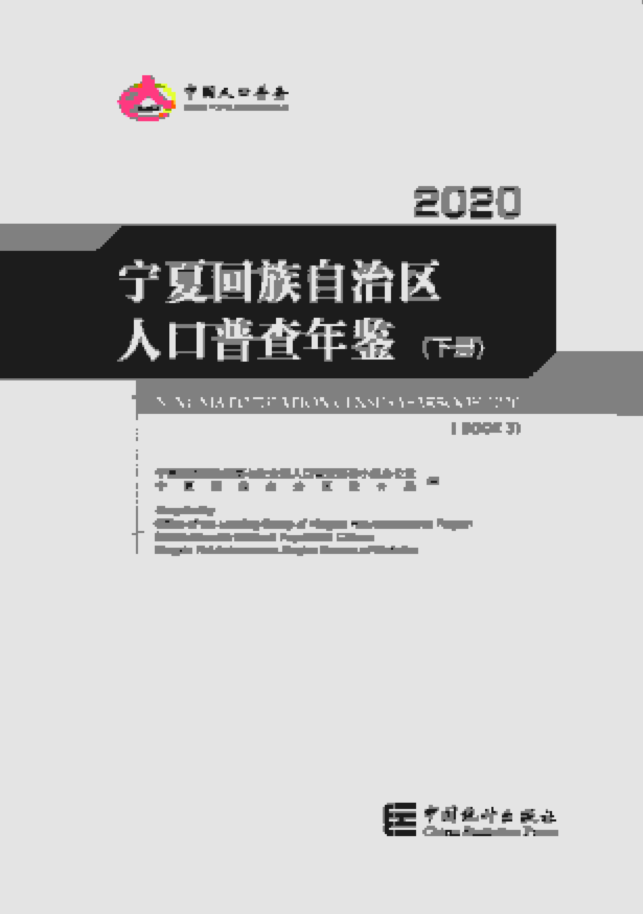 2020年宁夏回族自治区人口普查年鉴