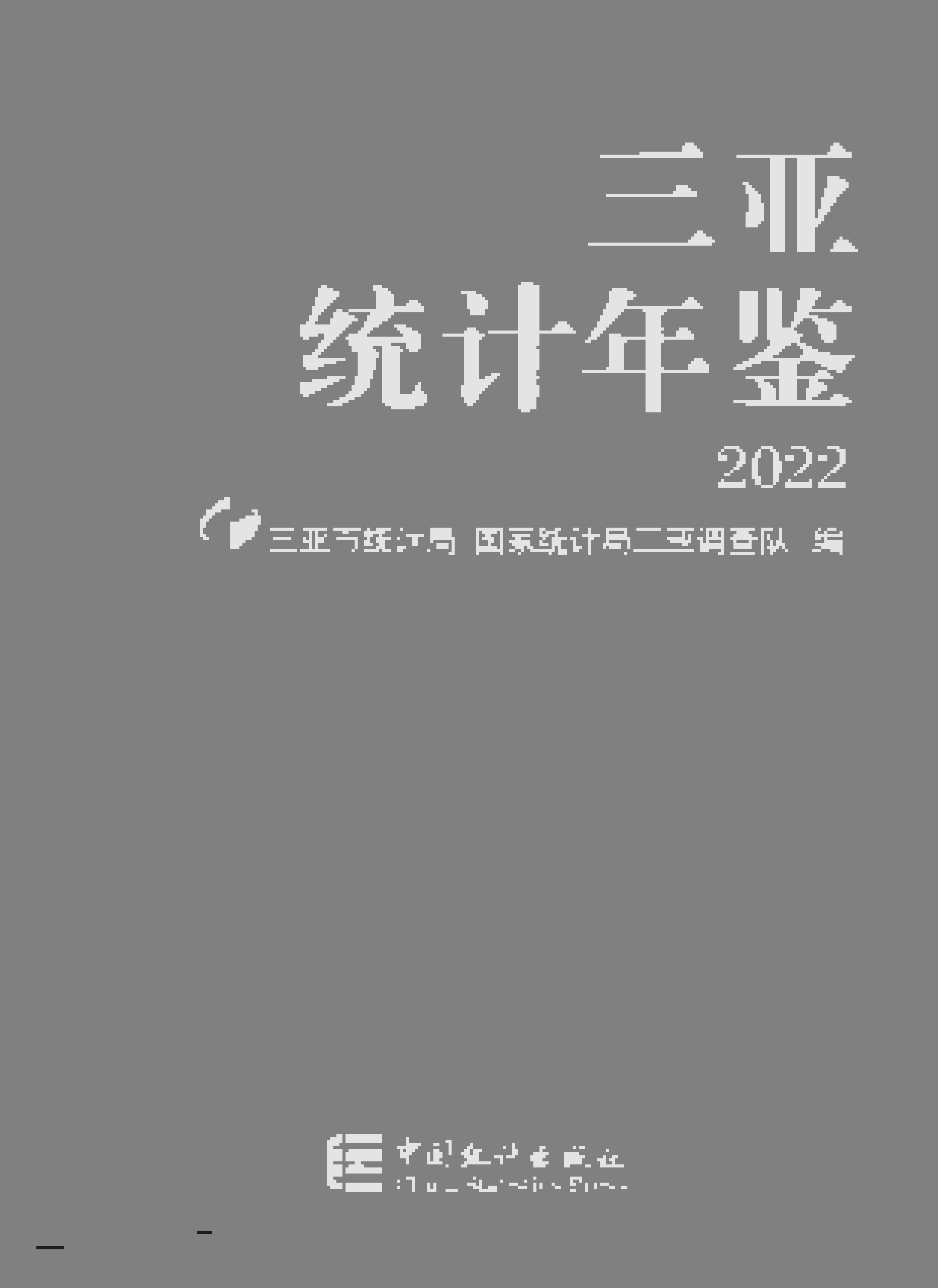 2022年三亚统计年鉴