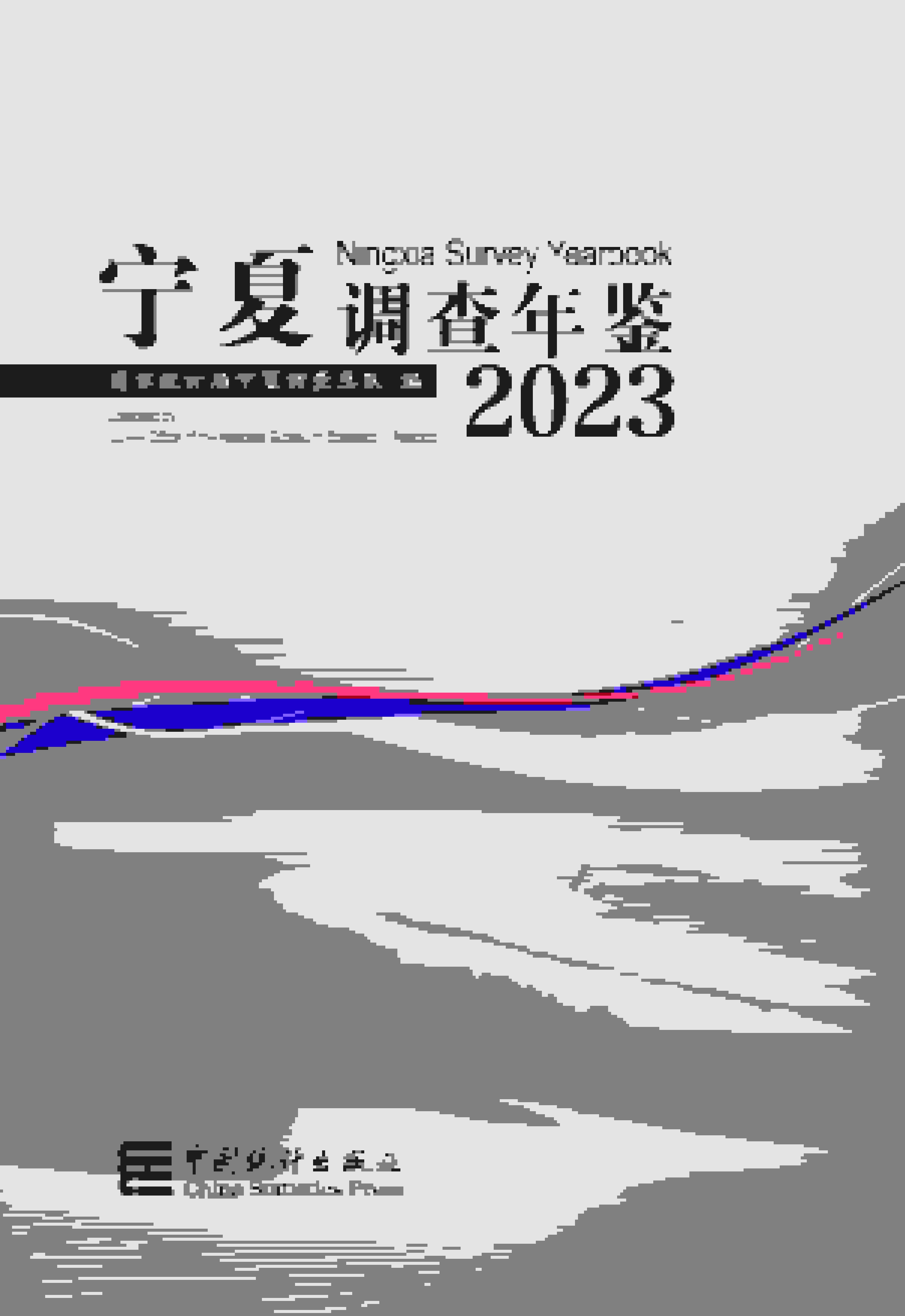 2023年宁夏调查年鉴