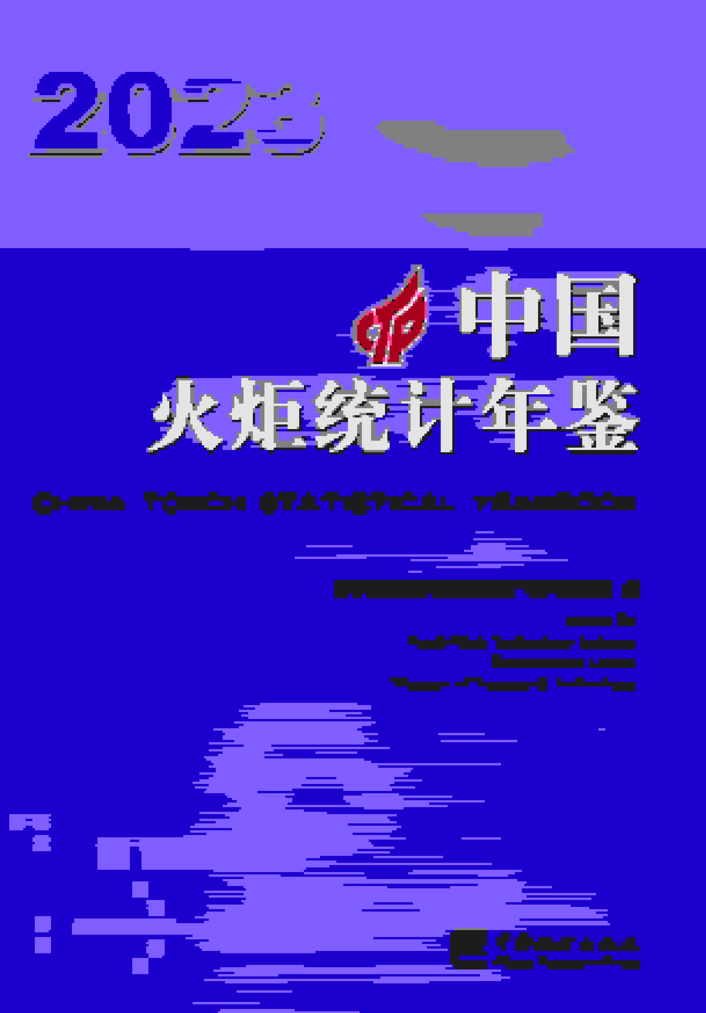 2023年中国火炬统计年鉴