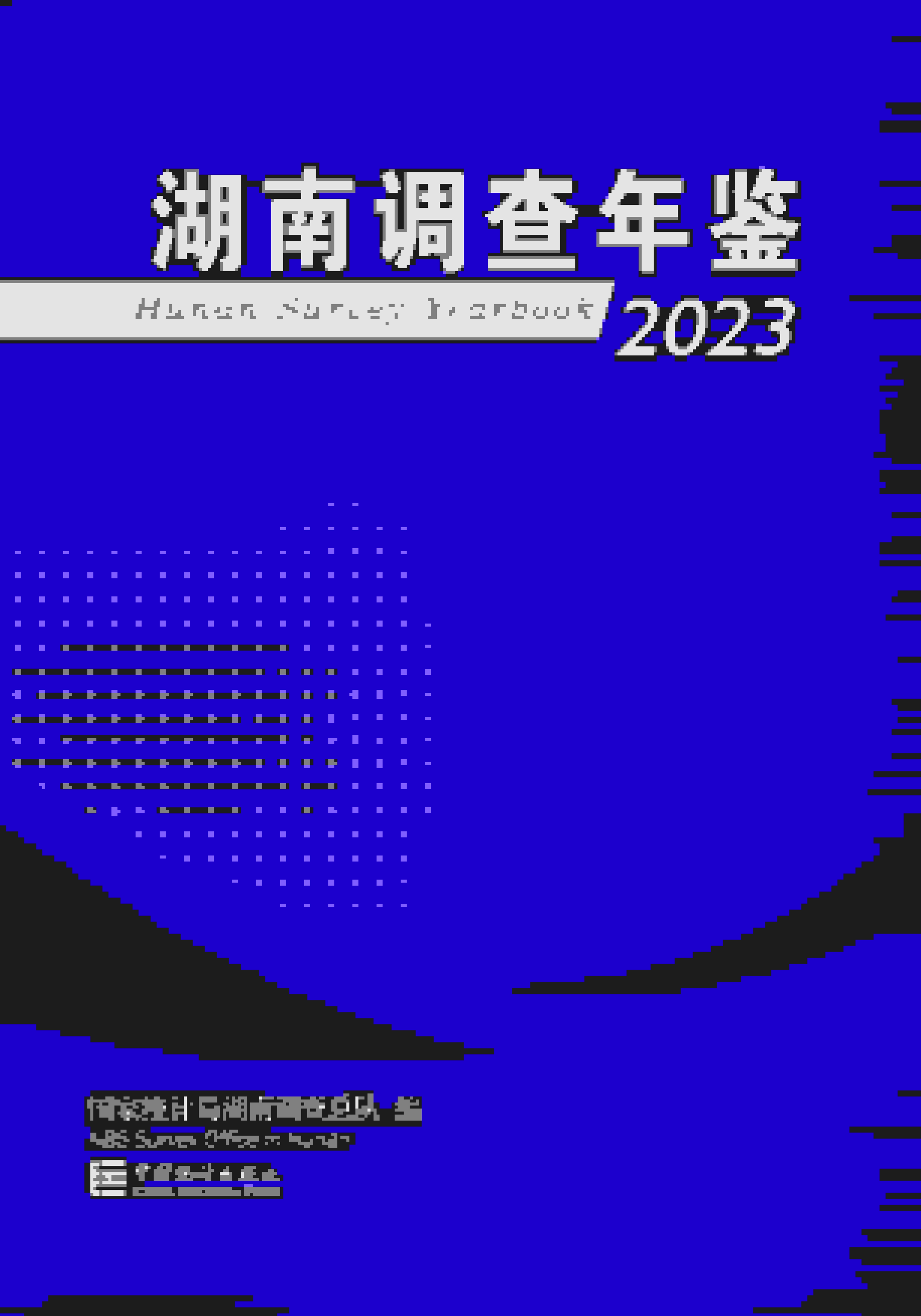 2023年湖南调查年鉴