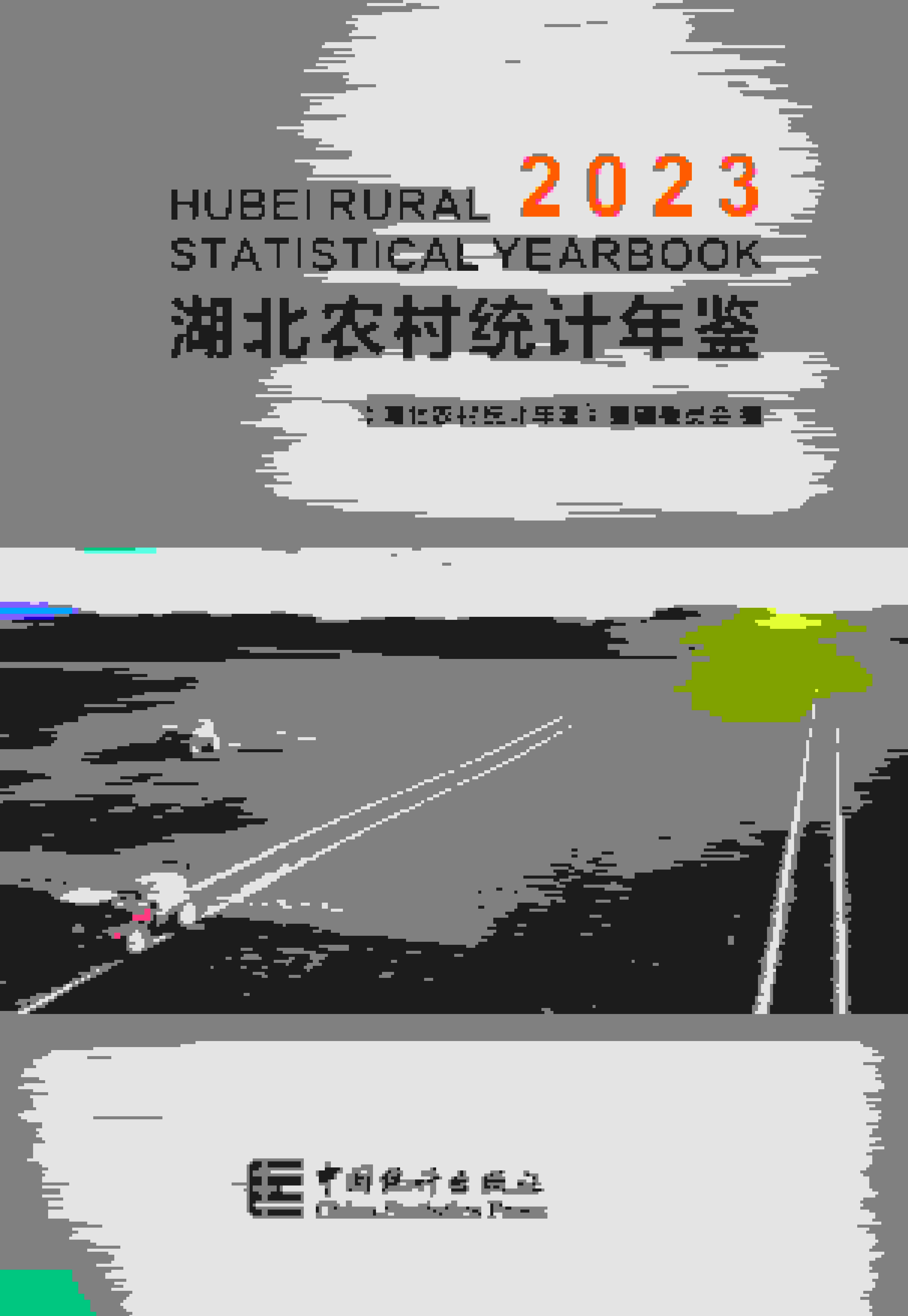 2023年湖北农村统计年鉴