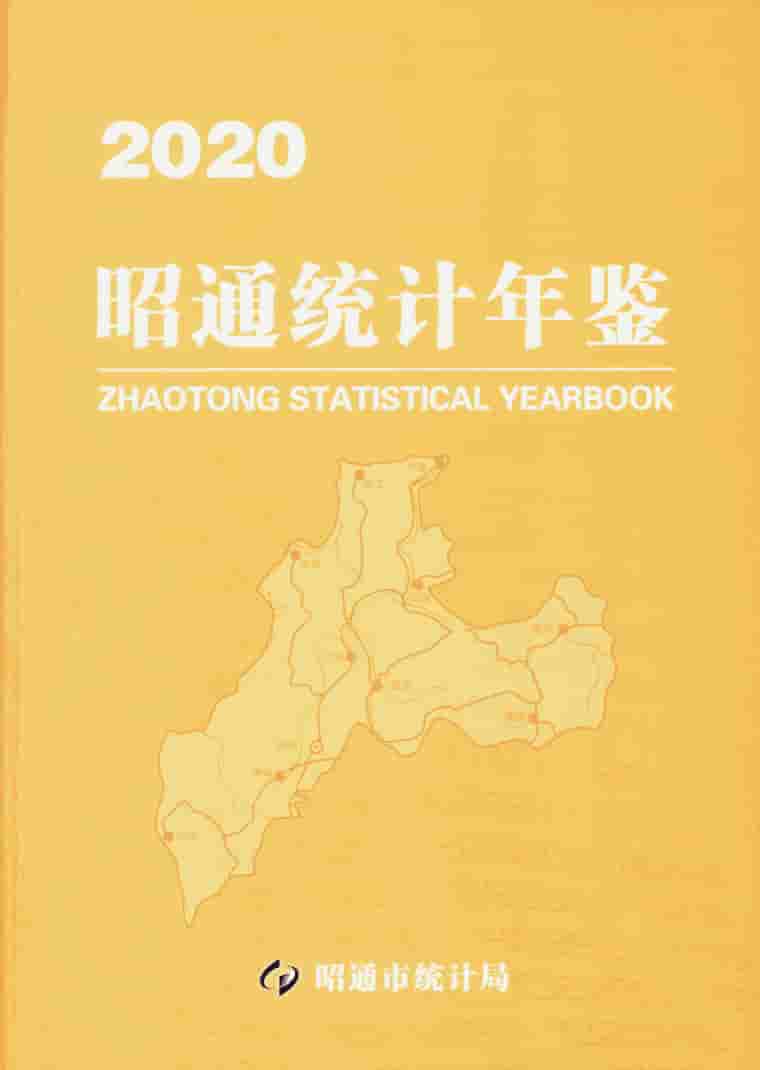 2020年昭通统计年鉴封皮