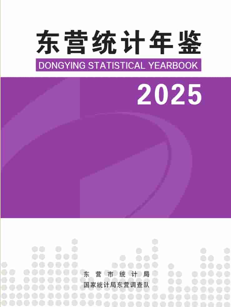 2025年东营统计年鉴封皮