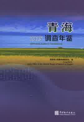 2025年青海调查年鉴封皮
