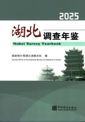 2025年湖北调查年鉴封皮