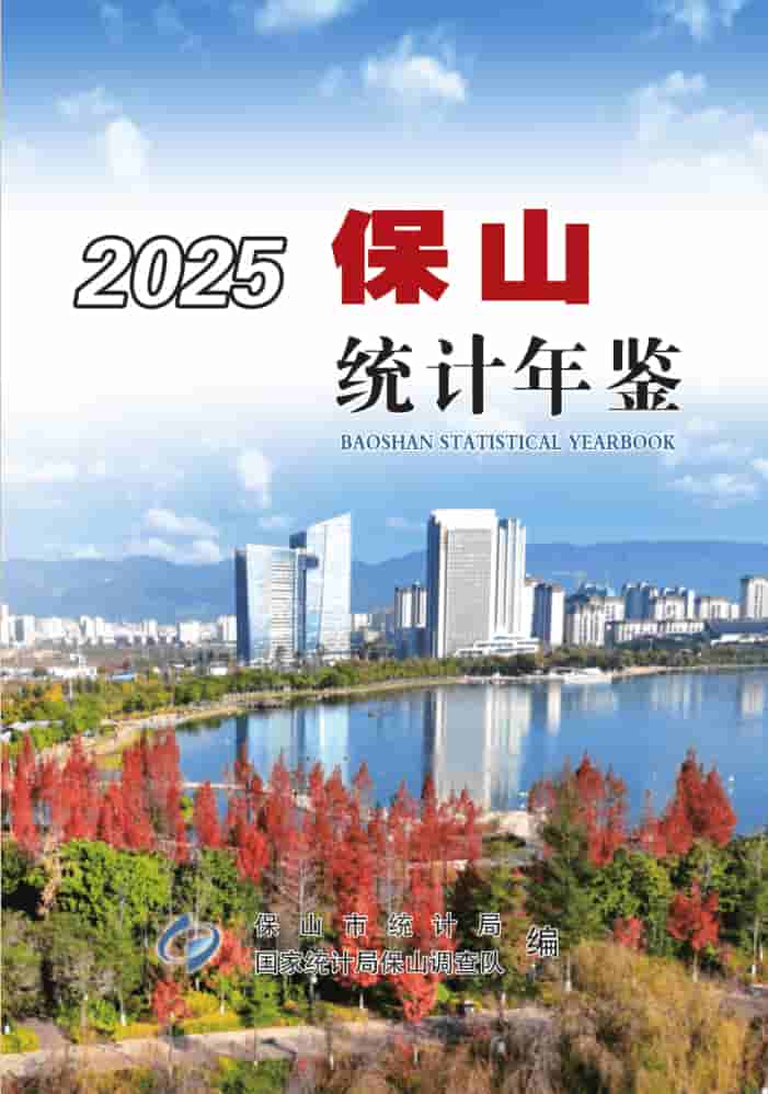 2025年保山统计年鉴封皮