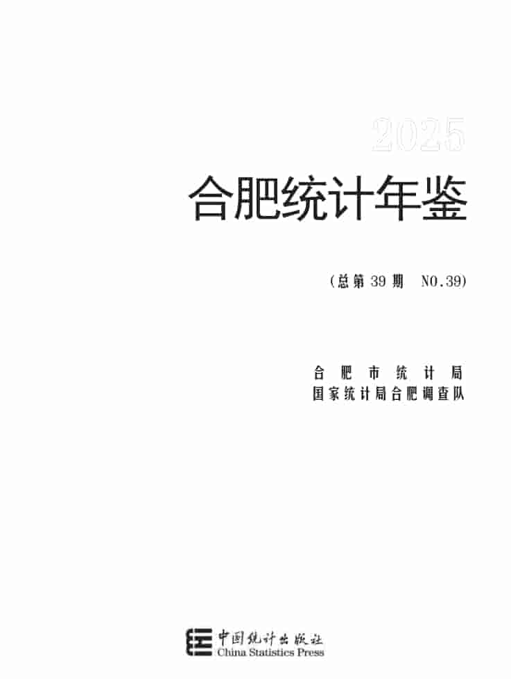 2025年合肥统计年鉴封皮